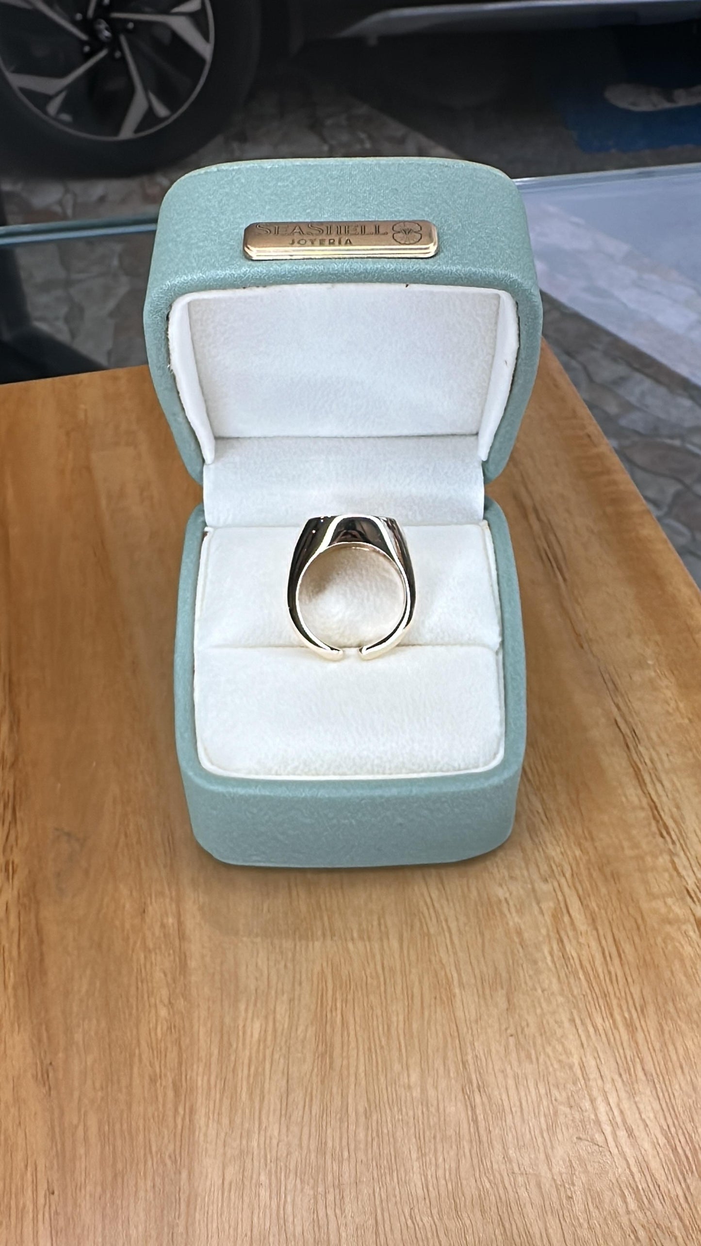 Anillo Sello en Oro Blanco de 10 Kilates – Diseño León